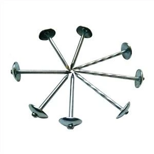 Elektroverzinkter Regenschirmkopf-Dachnagel